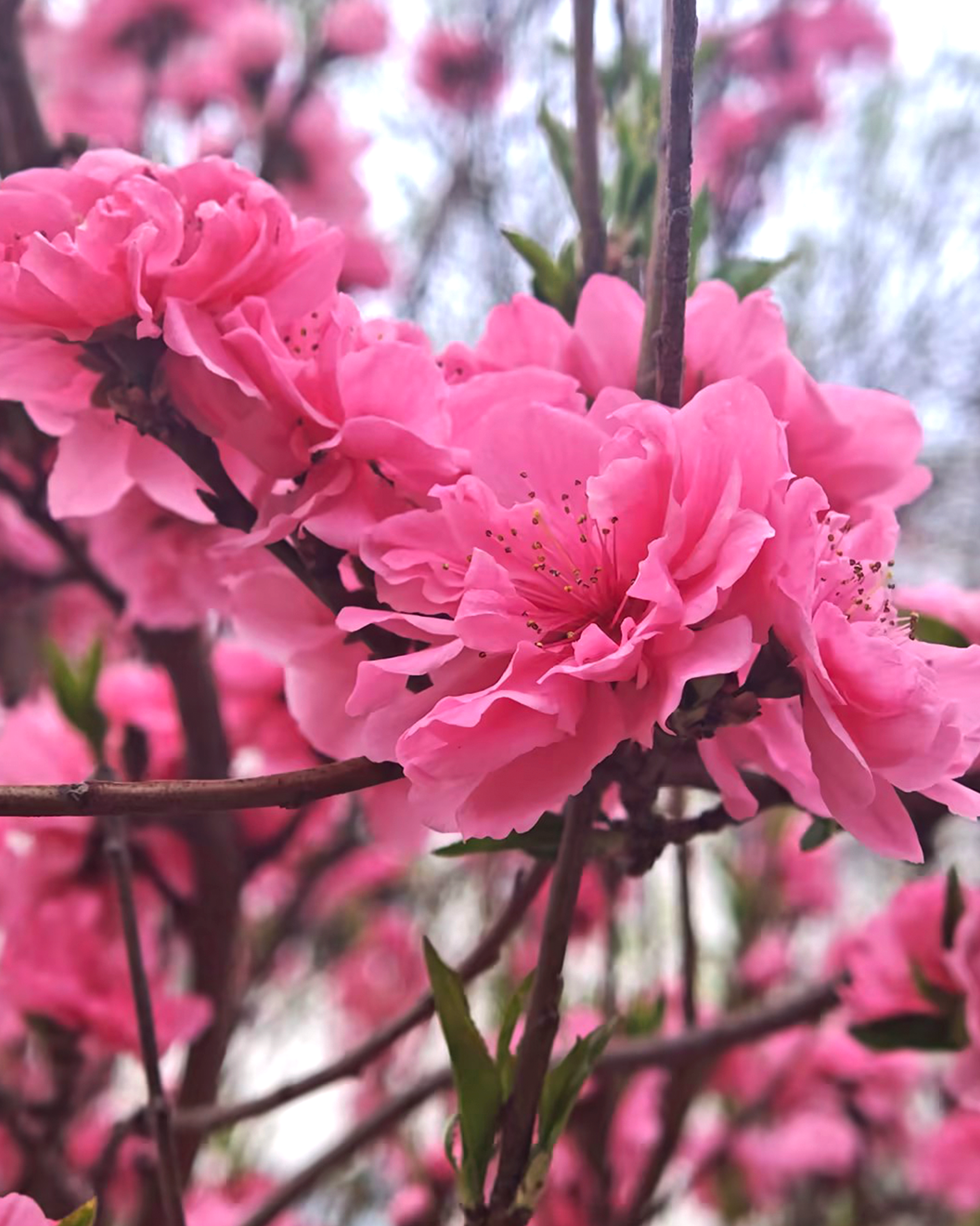 壹定发·(EDF)最新官方网站