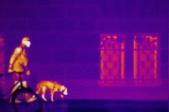 壹定发·(EDF)最新官方网站