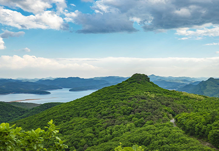 壹定发·(EDF)最新官方网站